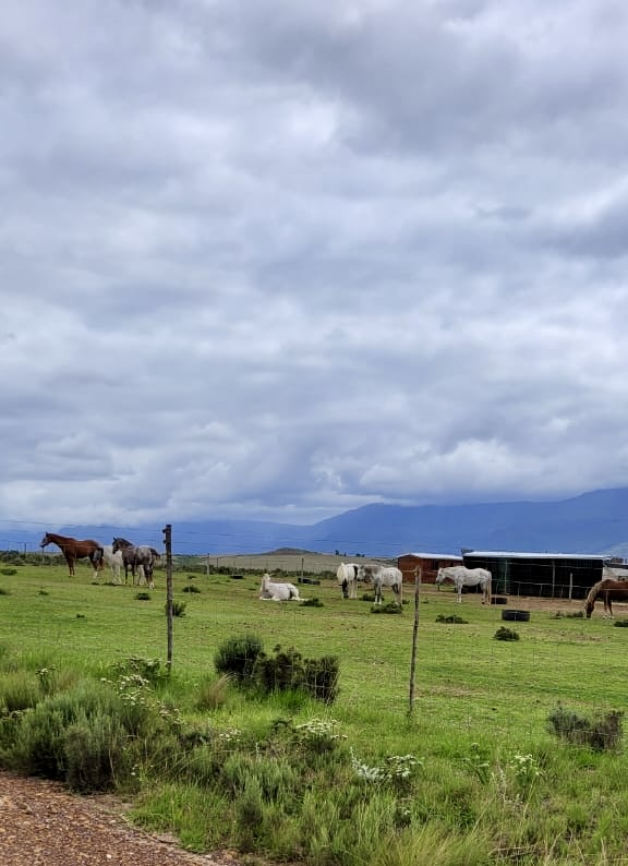 0 Bedroom Property for Sale in Swellendam Rural Western Cape